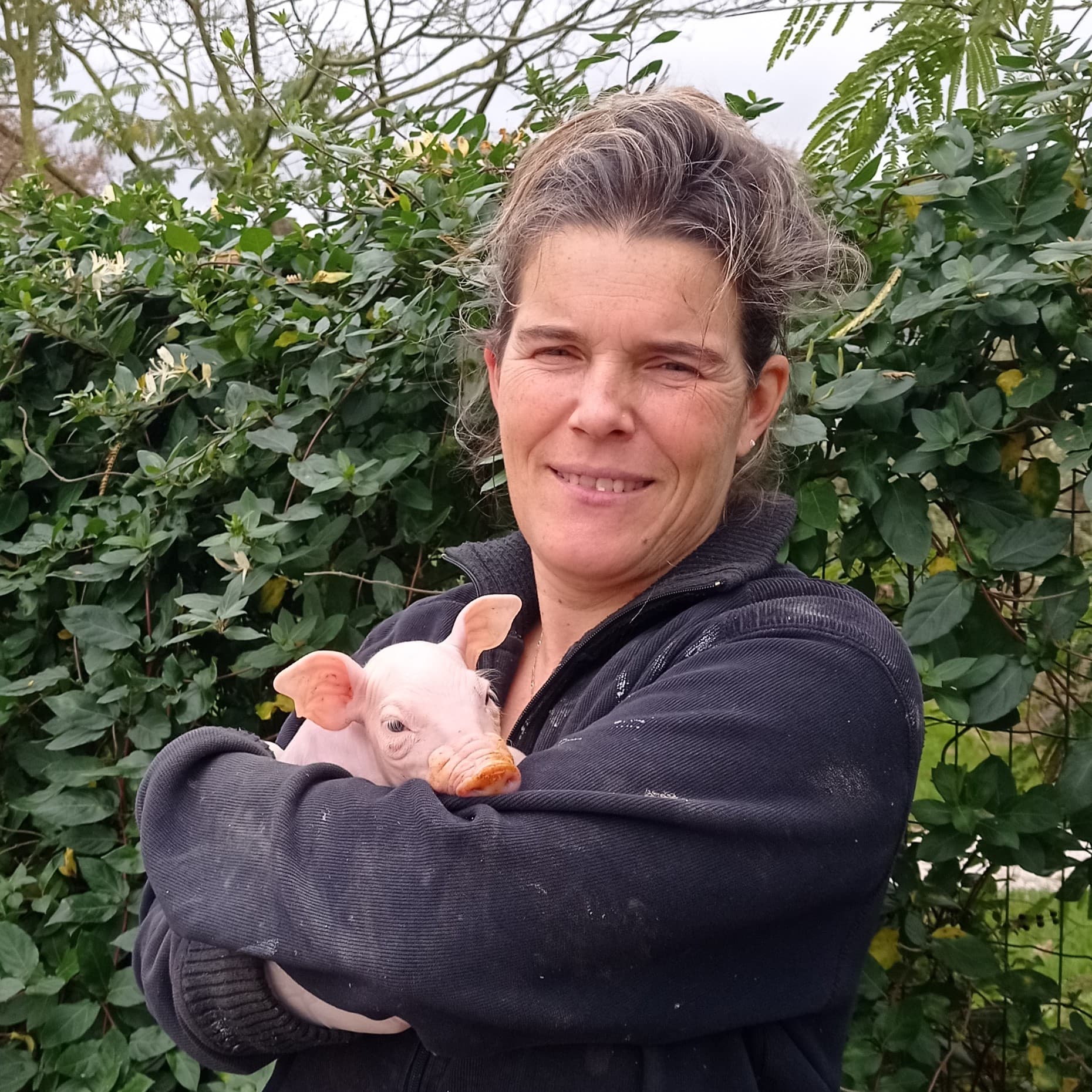 Vente directe à la ferme - viande de cochon et viande de bœuf - Le Cochon de la vallée du Loc'h